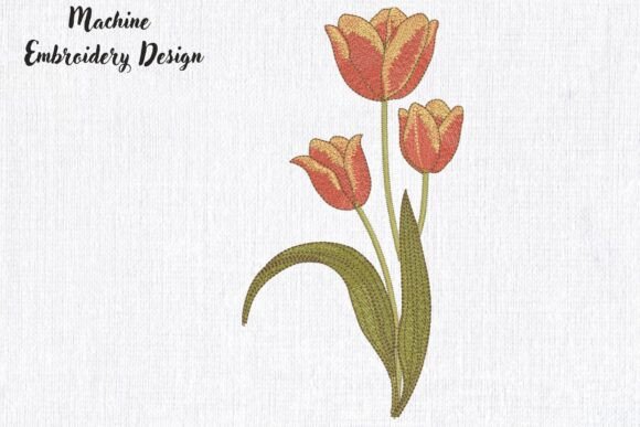 A Professional Review of the Elegant Spring Three Tulip Flower